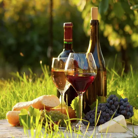 Hébergement de vacances House Near Cahors With Private Natural Retreat, Cleaning Included *